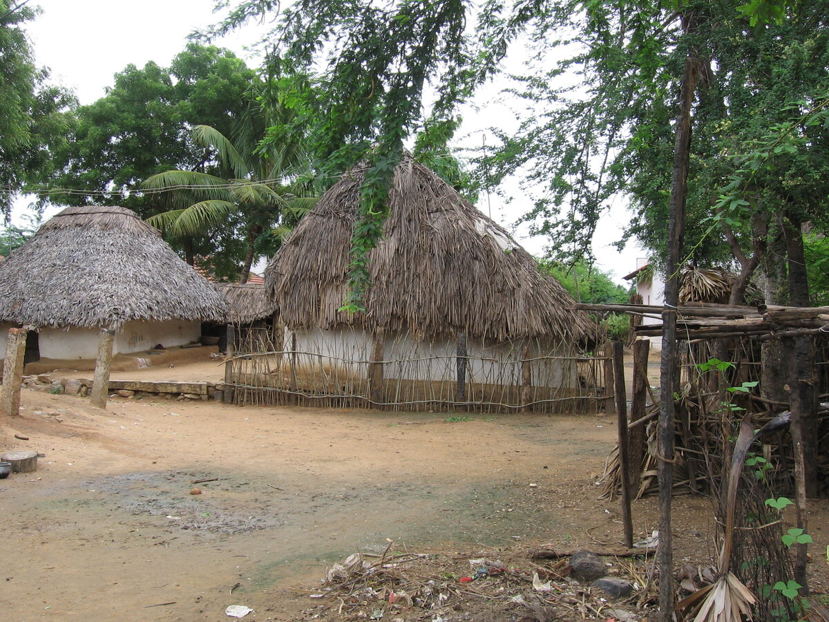 Деревенская улица. Фотография из личного фотоархива, Индия 2005 год.