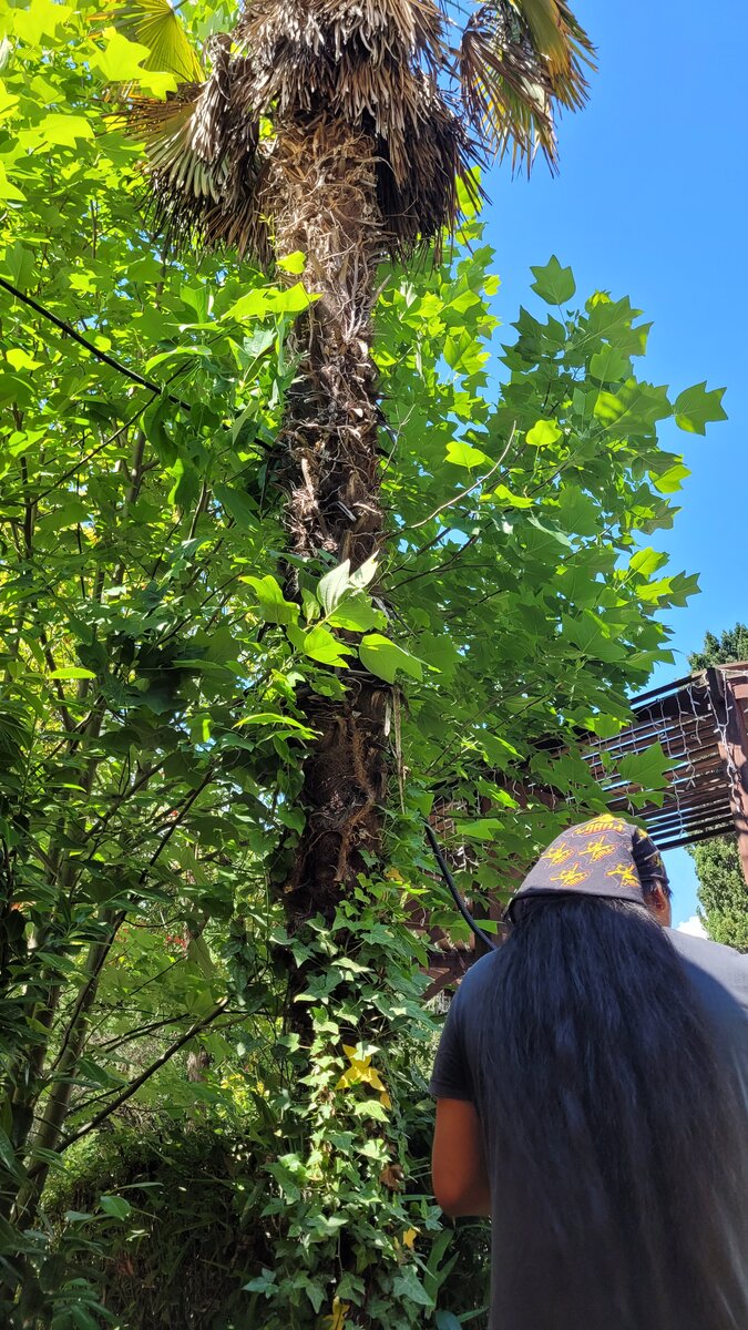 У Марко длинные волосы