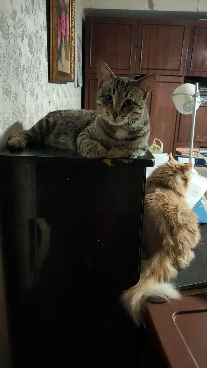 Давай, рассказывай дальше!