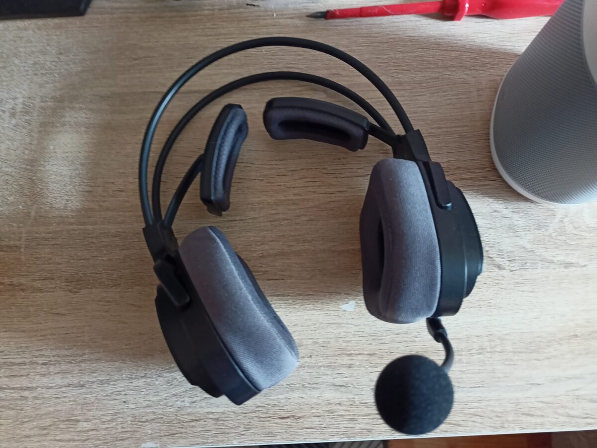 Сами наушники. Микрофон снимается.