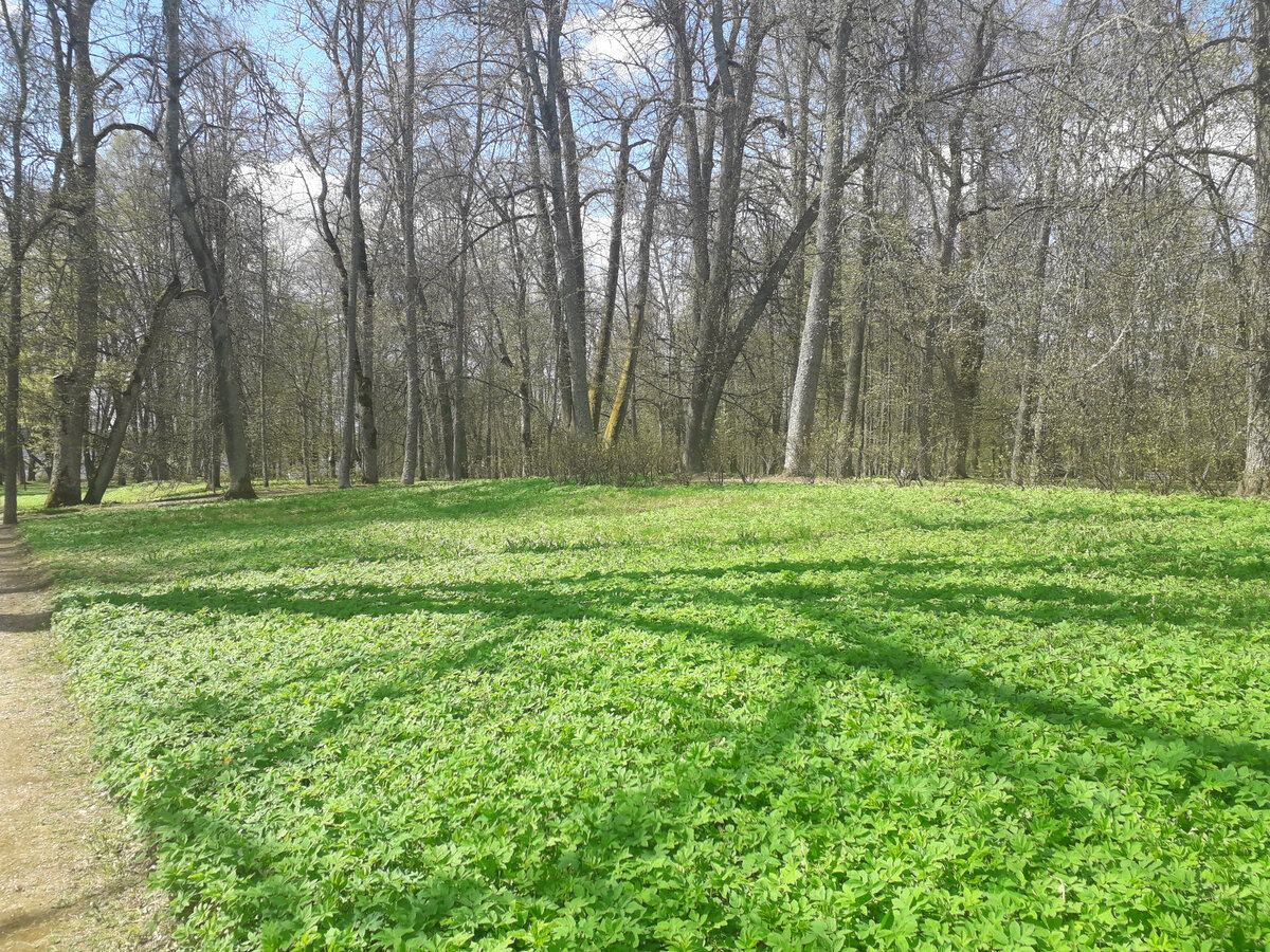 28 апреля 2023 12:58