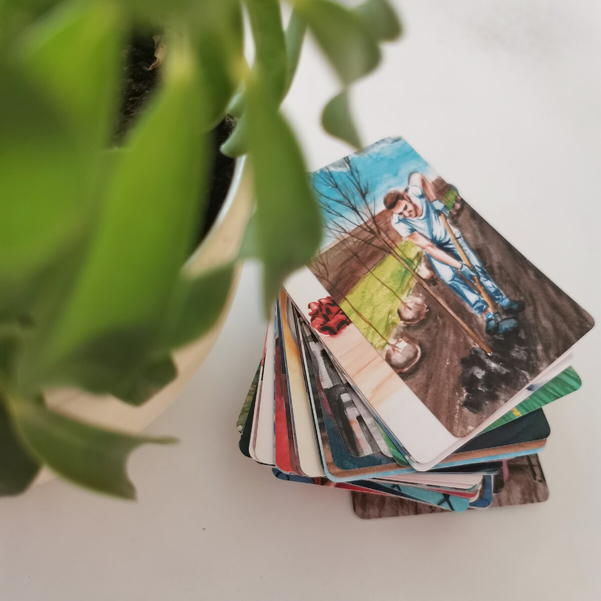 МАК карты, консультация с МАК