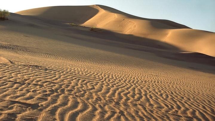 NIKOLAY KUZNETSOV/GLOBALLOOKPRESS