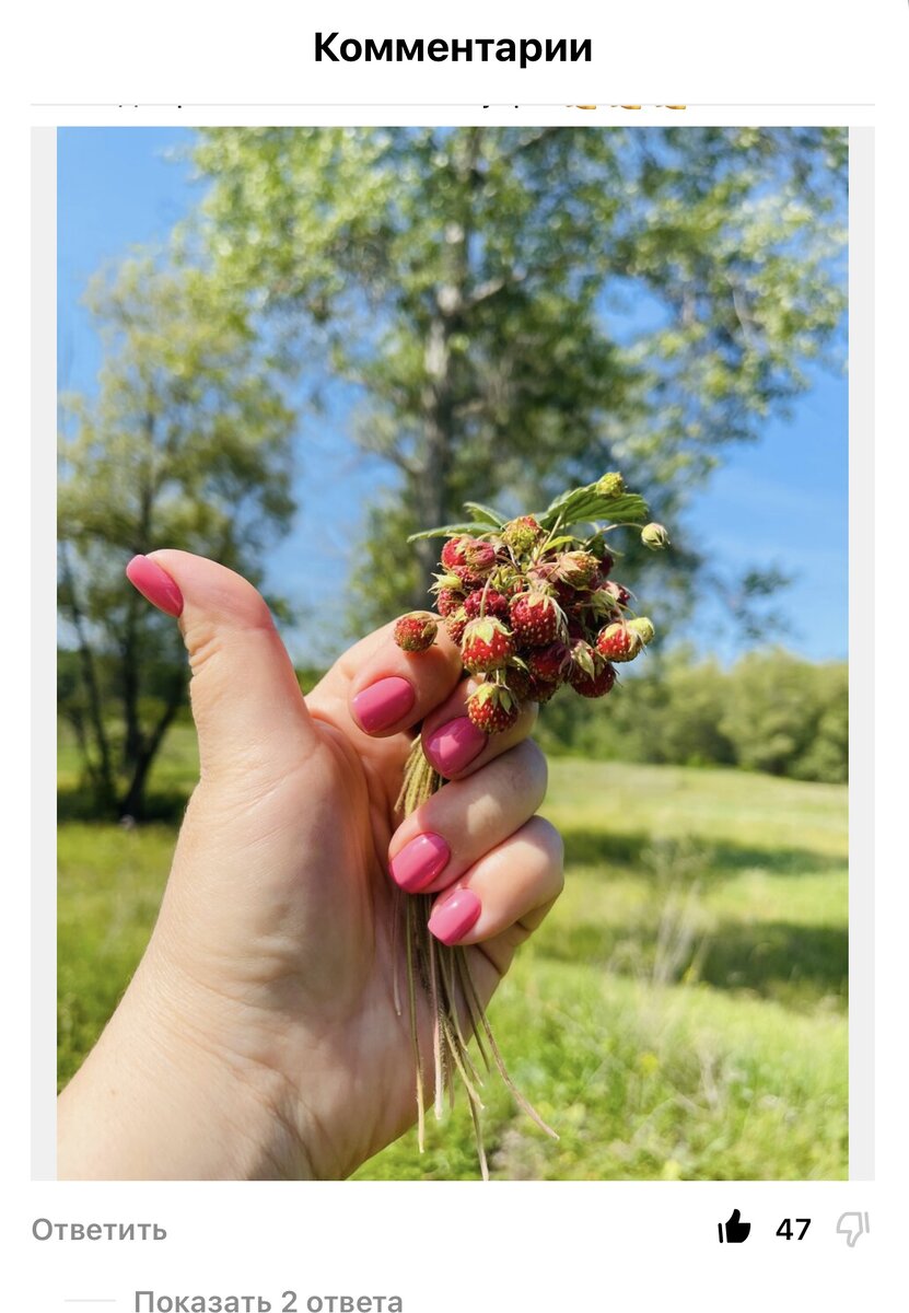 Победный скрин