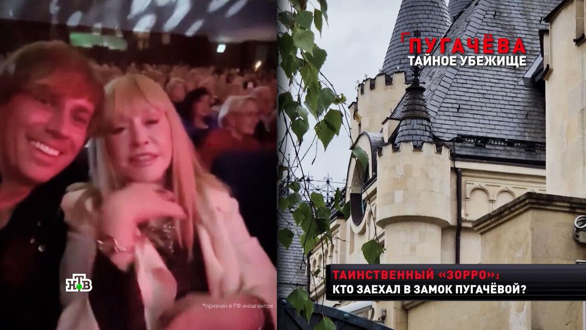    Соседи рассказали о тайном визите Пугачёвой в замок в деревне Грязь