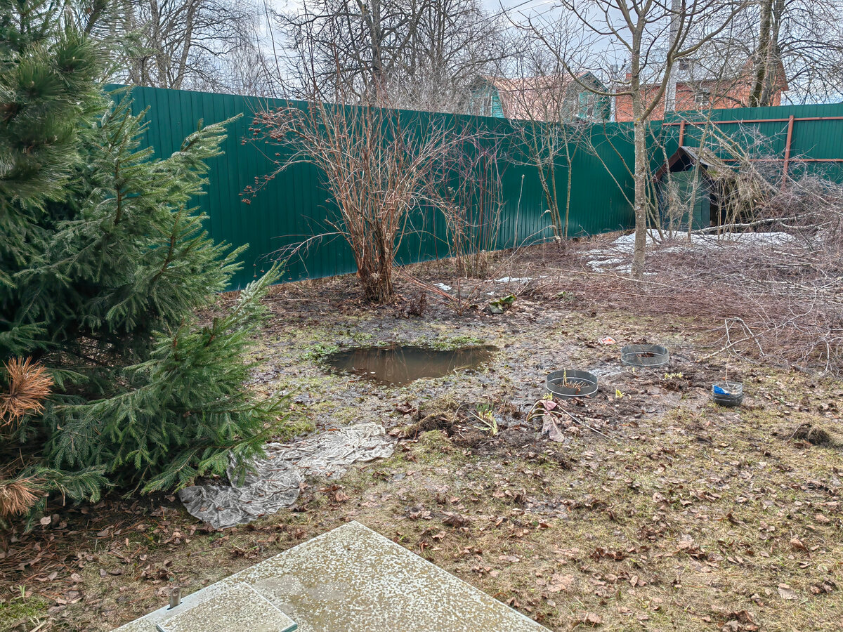 Еще и ветки валяются от спиленной зимы березы-она много света закрывала на участке. В кругах мини-кустики, чтобы их летом не потерять и не скосить, не вырывавать по весне вместо сорняков:))