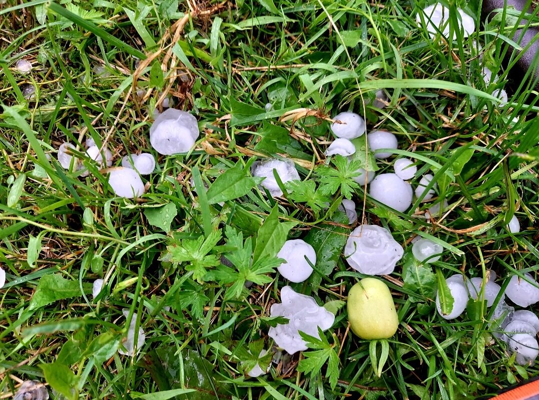 Автор фото Наталья Мазняк