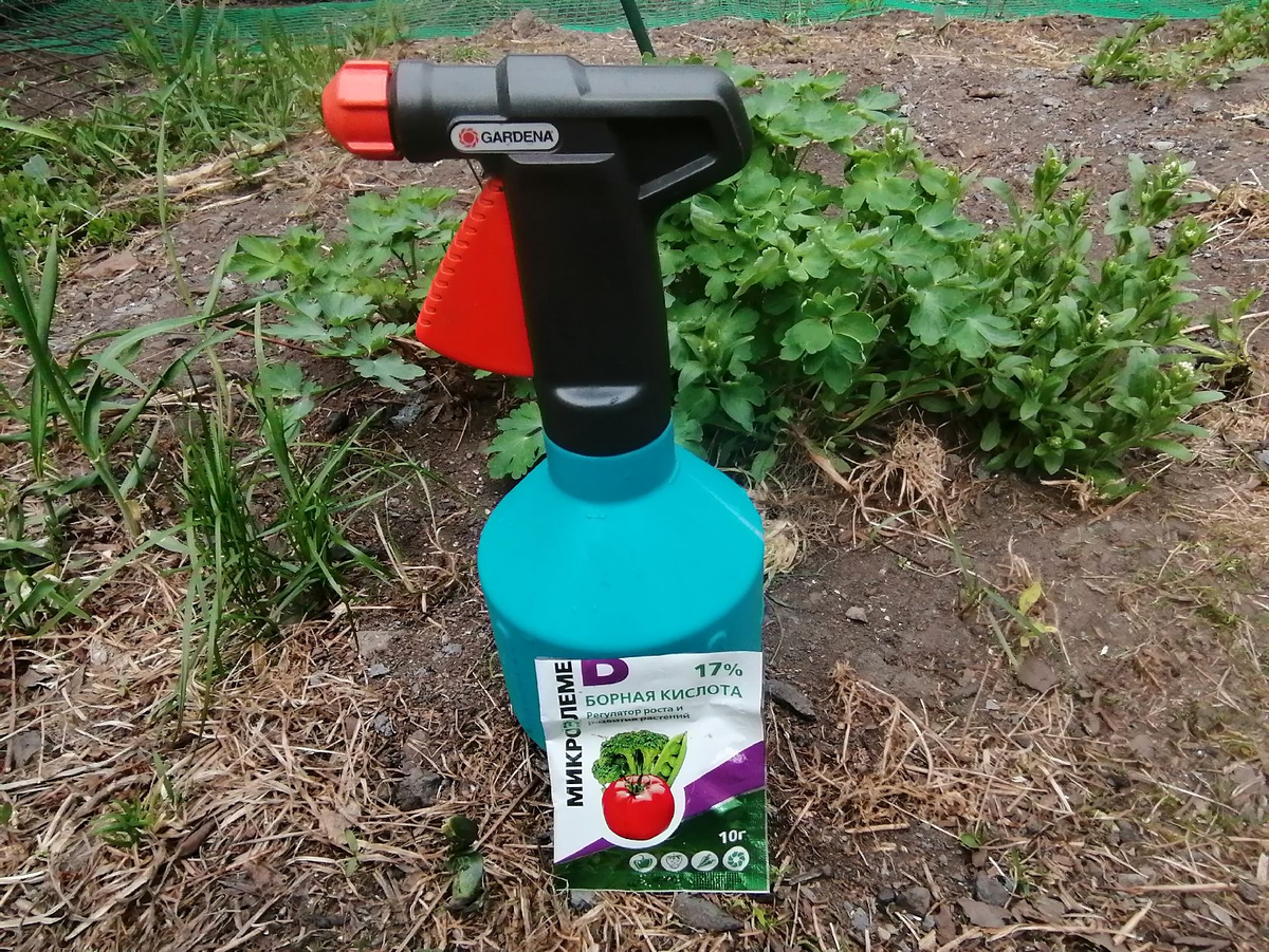 Борная кислота для растений