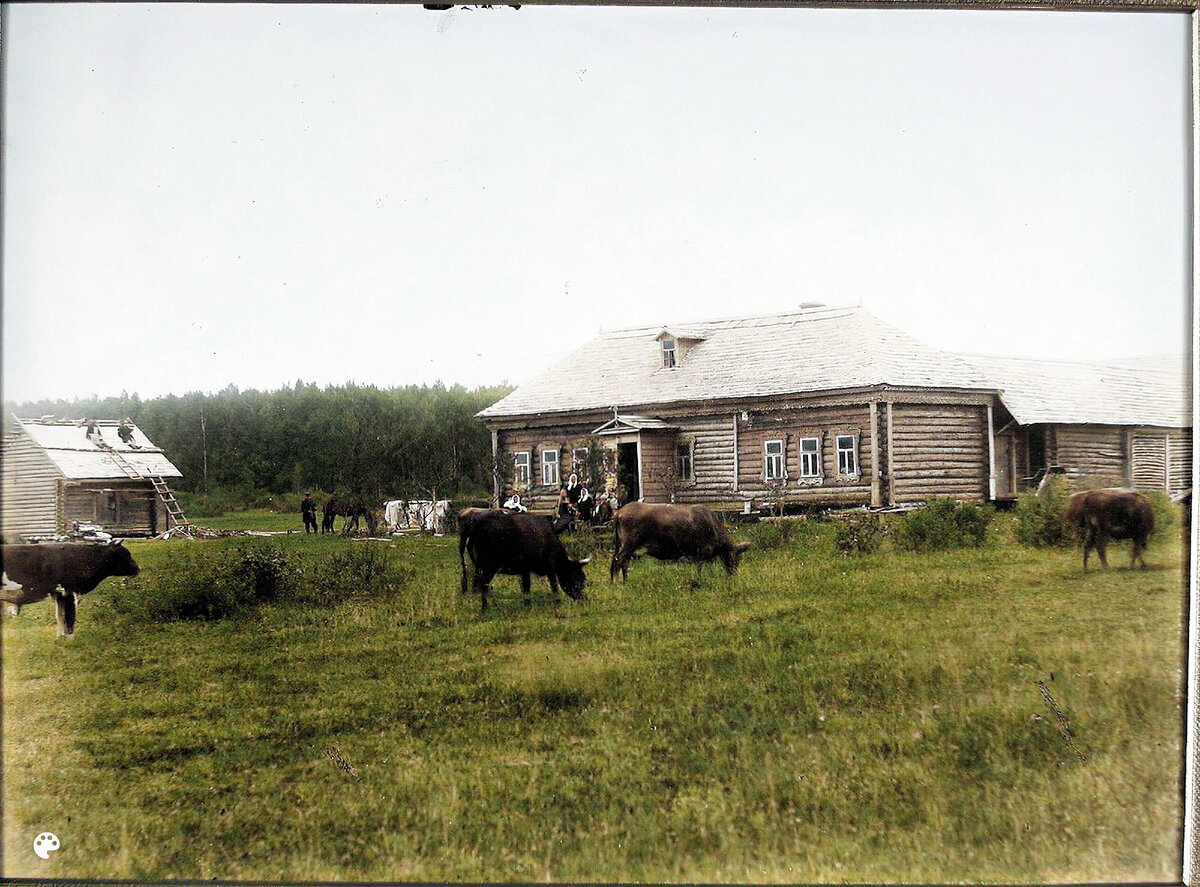 История цветная фотография