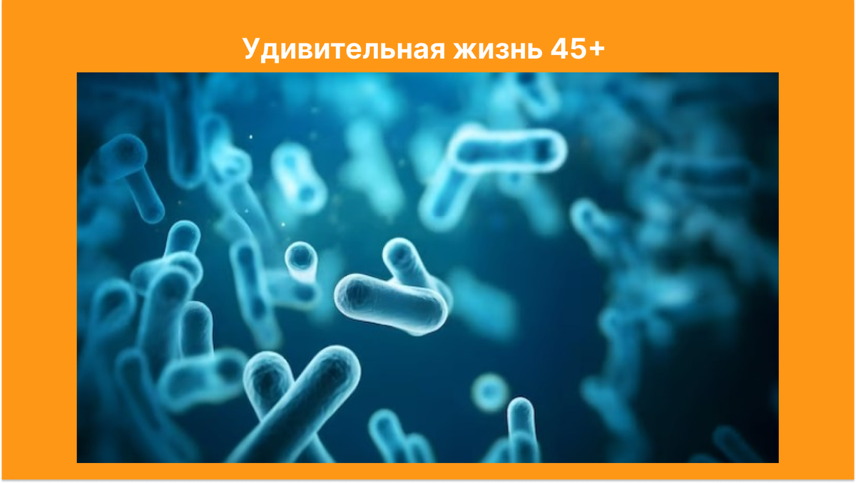 Фвзята из открытых источников