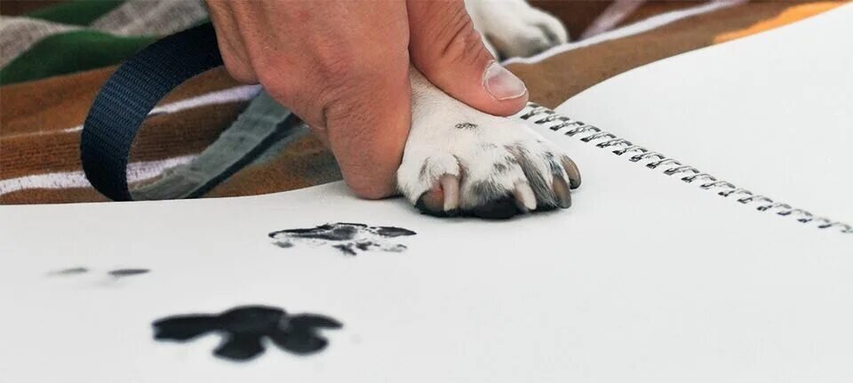 Как сделать отпечаток лапы собаки. Как сделать отпечаток кота. Как сделать отпечаток кота. Как сделать отпечаток кота. Татуировка отпечаток лапы собаки.