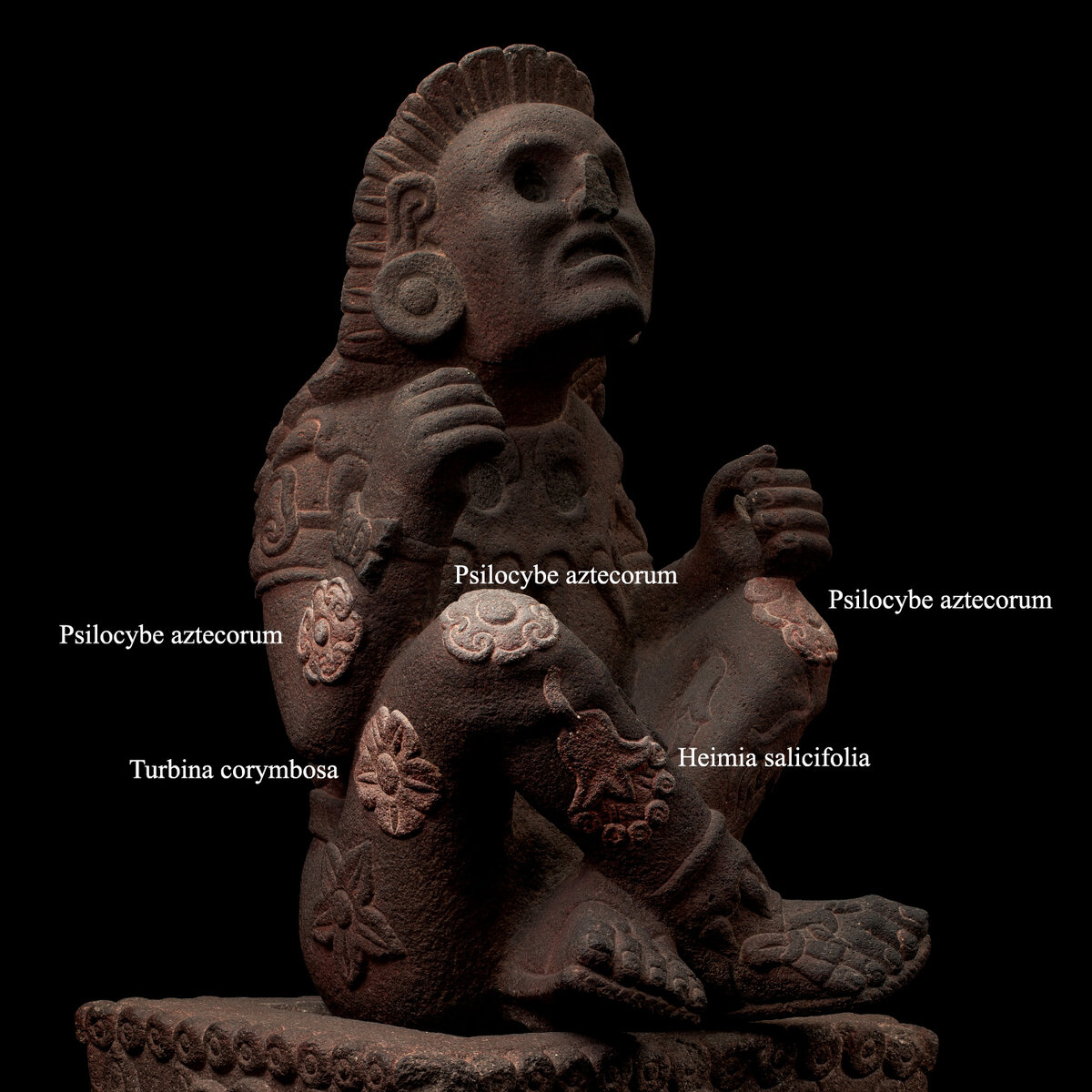 Цветы и грибы на скульптуре Шочипилли. Мексика, 1250-1500 гг. н.э. Коллекция Museo Nacional de Antropología, Mexico.