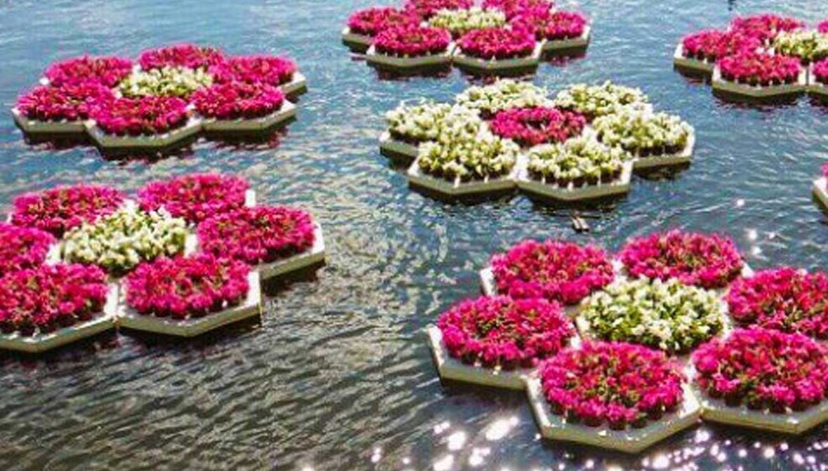 Плавающая клумба. Фото из Интернета.