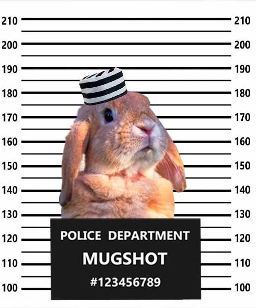 Обложка автора.