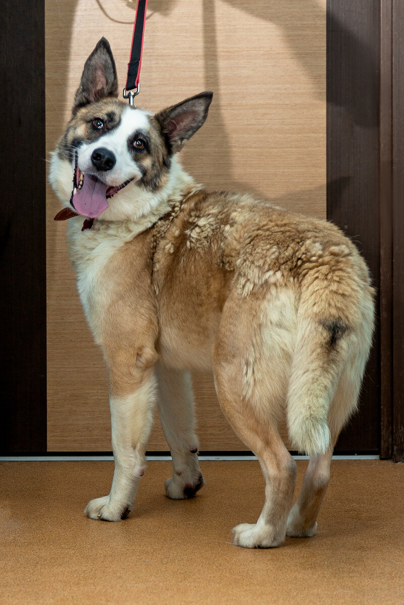 Мальчишка невероятно рад людям