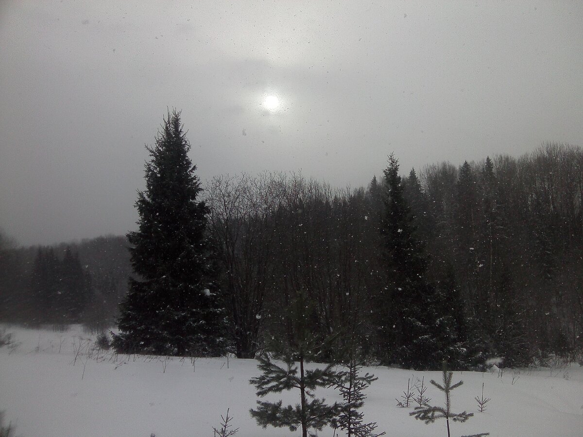 где то в Галичском районе