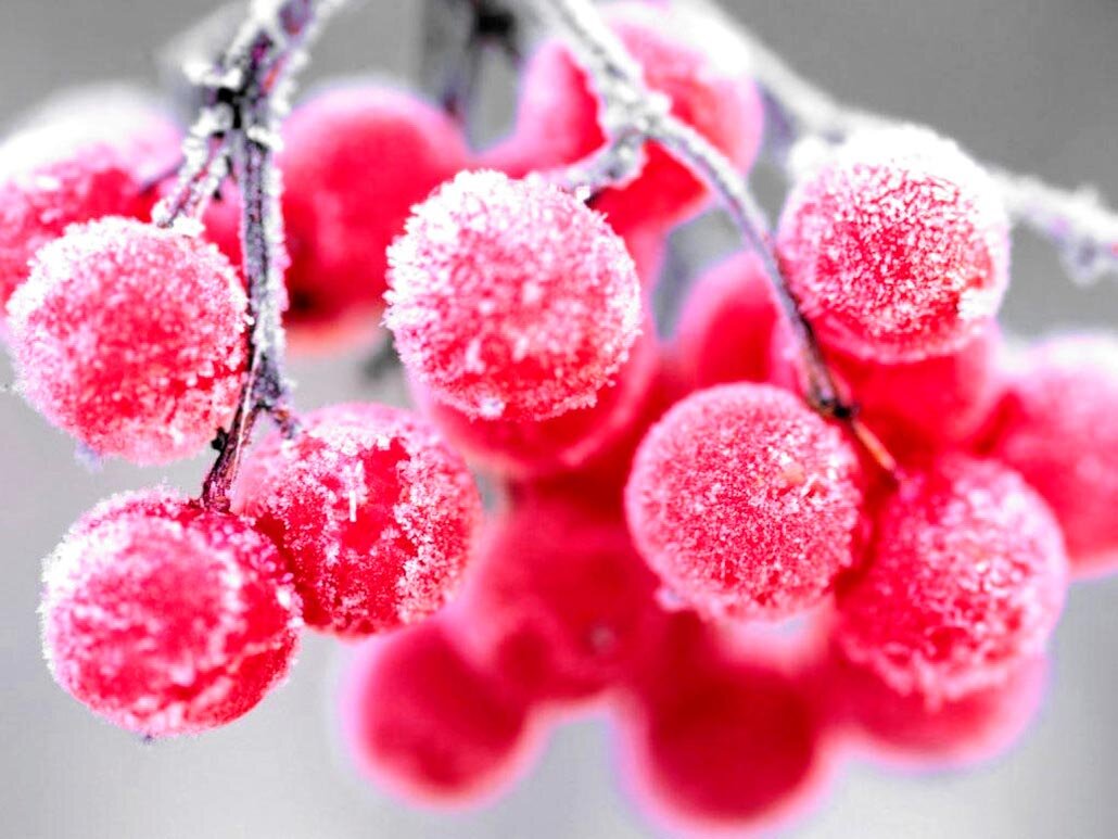 картинка с Яндекс картинки