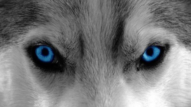 проект издания новой книги