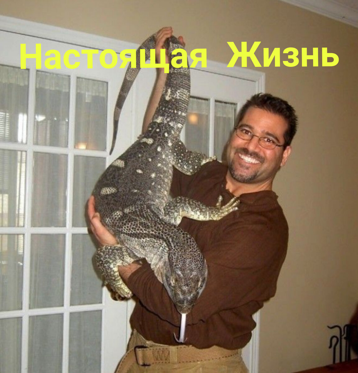 Покажи фотки варана