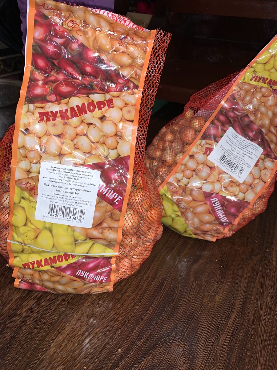 В этом году купила себе 4 кг севунца. Фото автора