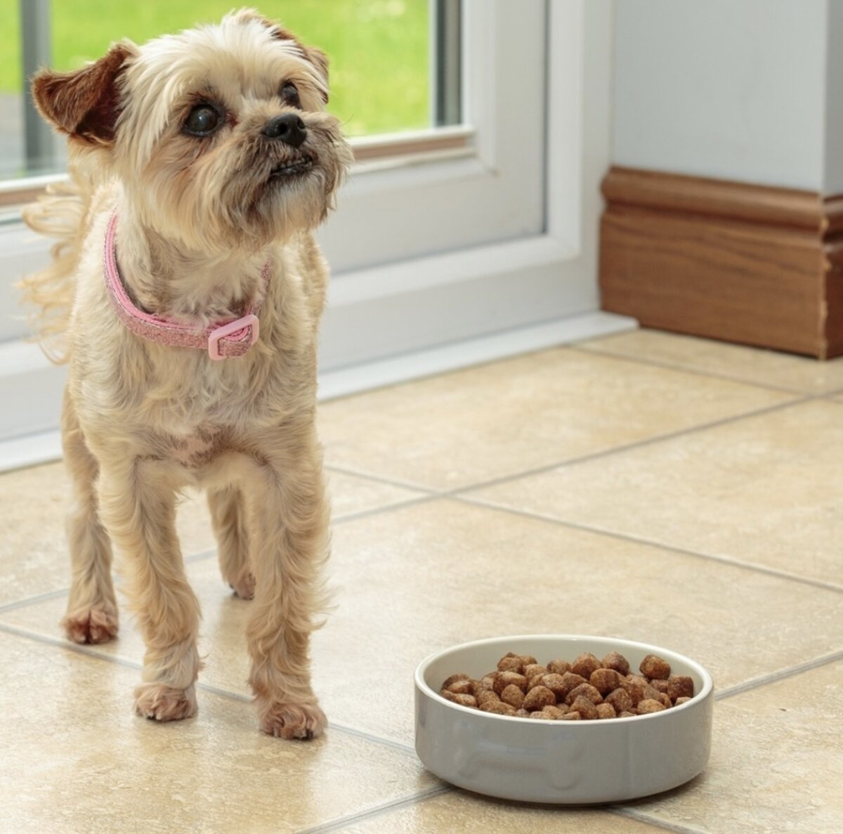 Миска в сером цвете Артикул: 2030.465