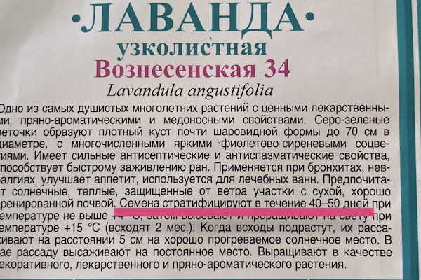 Поморозить и лишь потом сажать! Семена каких культур плохо взойдут без закалки (а то и вовсе не взойдут)0