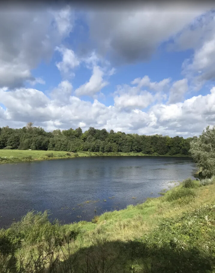 Берег реки Луги