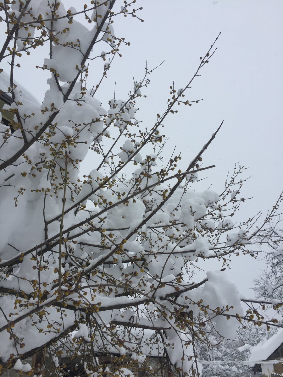 Фото И.Бондаренко