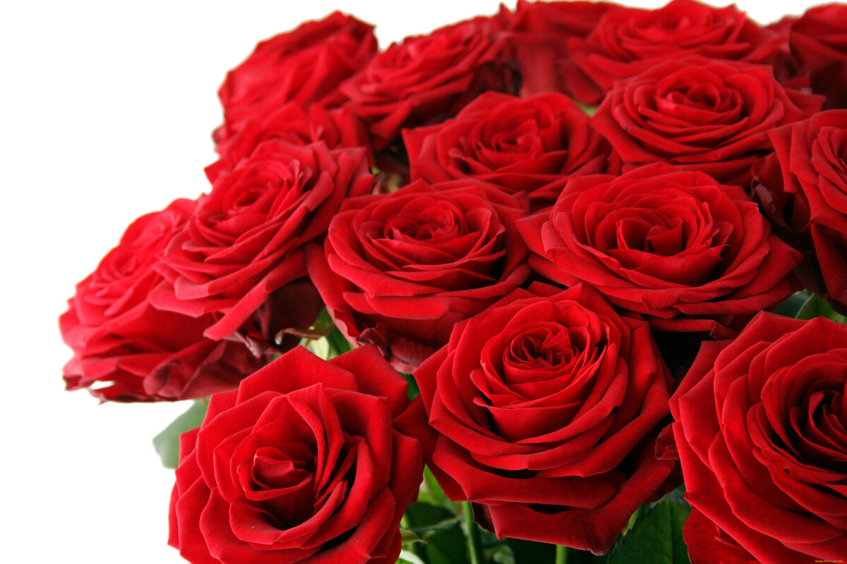 Картинки из интернета