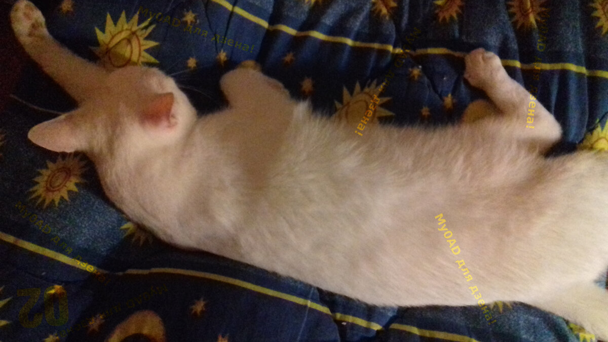 Сделал дело - отдыхай смело