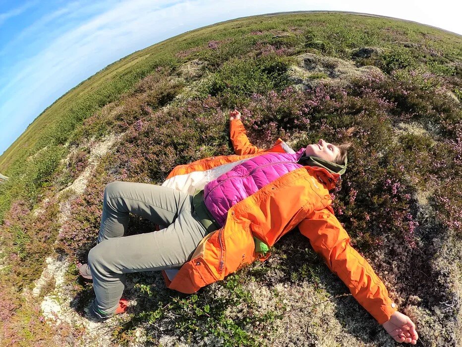 Деревня Койда. Фото из Экспедиции по исследованию микропластика в Белом море. Артем на GoPro 360.