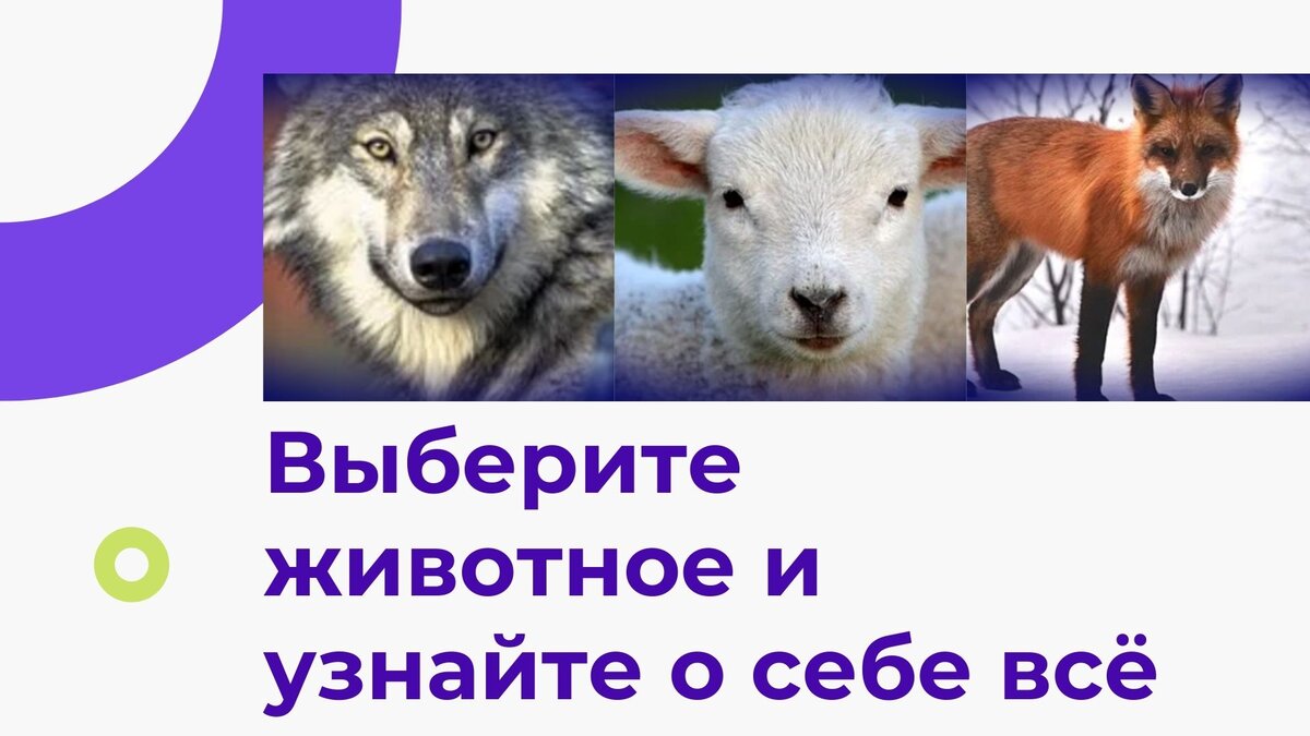 тест с животными