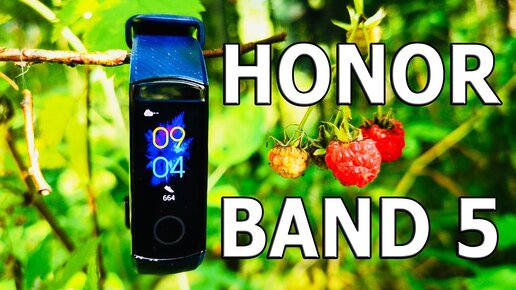 20 причин купить Honor Band 5 II Или нет ? Совсем не убийца.