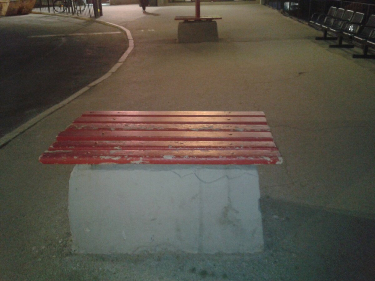 Фото из личного архива. Фото темноватое, так как сделано рано утром на рассвете.