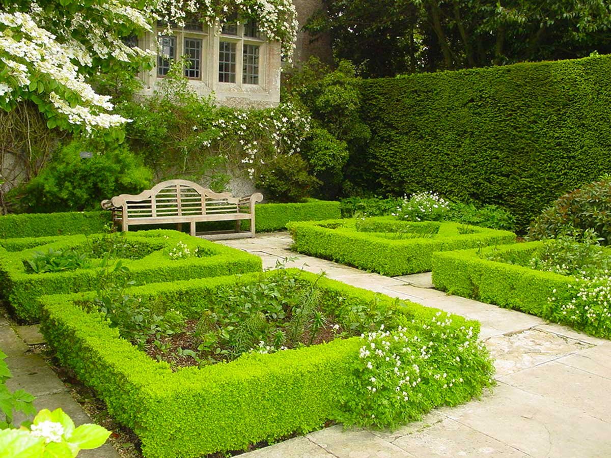 Фото с сервиса Яндекс.Картинки