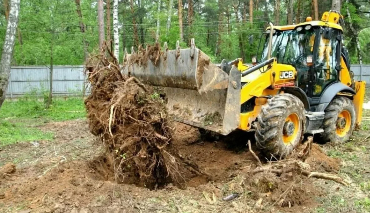 Корчевание пней на участке | Аренда Cпецтехники | Дзен