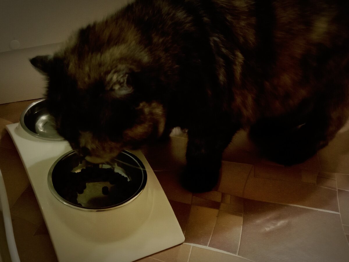 Тут тоже вкусно