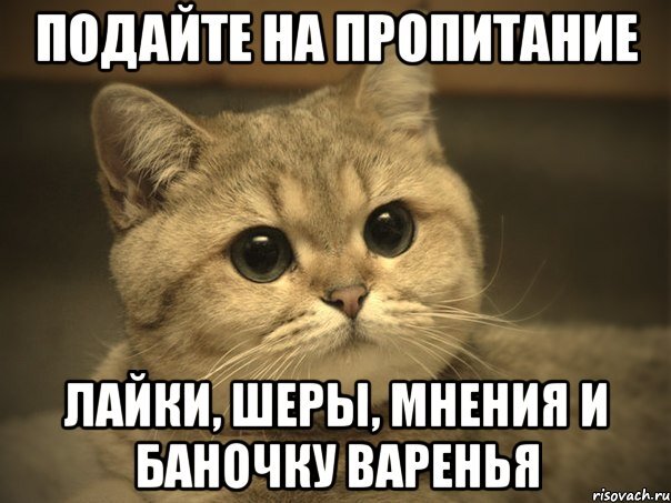 из яндекс картинок
