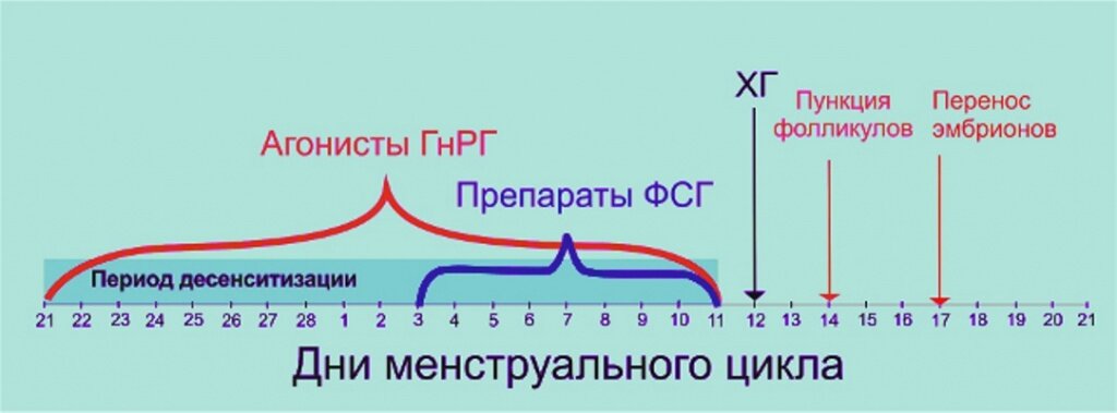 Длинный протокол