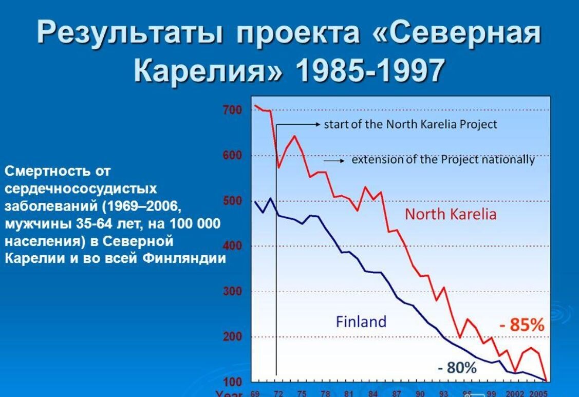 Результаты программы за период