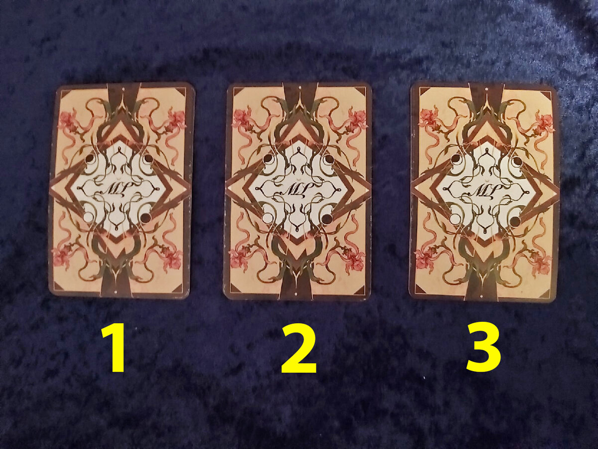 Выберите свой вариант. Фото автора статьи