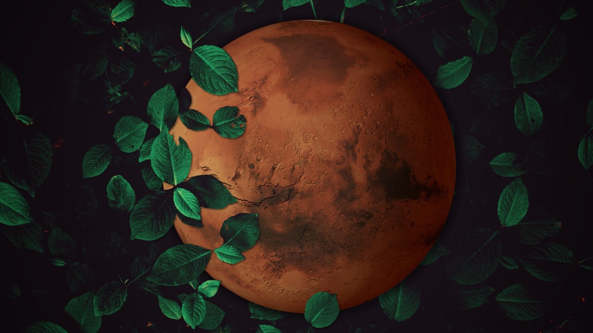 Картинка: villanova.edu