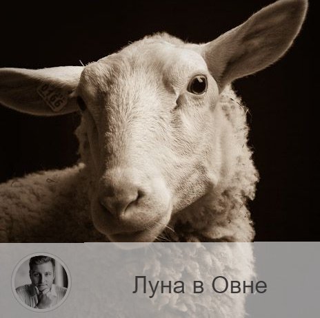 Подписывайтесь на наш канал, друзья!
Луна в знаке зодиака Овен с 02:44 14-ого по 13:56 16-ого. 👥 Несколько депрессивный период Луны в Рыбах сменяется активным периодом Луны в Овне. Эти дни приносят азарт, импульсивность, предприимчивость и инициативность. В это время нам хочется немедленно действовать и воплотить все, что было только что придуманно.
✅ В эти лунные дни надо постараться усилить самоконтроль и свести к минимуму уровень стресса.
❌ Не занимайтесь делами, требующими точных расчетов и отчетов, решения неопределенных финансовых проблем. Желательно в эти дни отложить все важные дела, которые требуют сильного напряжения, отложить физические нагрузки на несколько дней.
❤️ В этот период мы стремимся навязать свою волю другим, что может привести к конфликтам и ссорам.
💊 Луна в Овне приносит чувствительность в область головы, поэтому не нагружайте зрение, избегайте перегрева, берегите уши и зубы. Не рекомендуется постится и голодать.

—————
🌎 Предсказываю и корректирую судьбу из любой точки мира
⇨ numeromagic.ru/uslugi