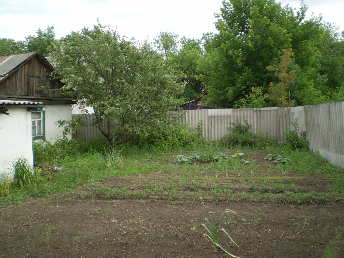 В городе конечно огороды не "сельские" - всего от 2 до 5 соток.