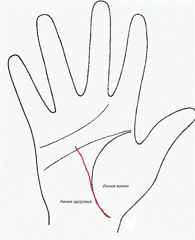 Линия жизни сливается с линией жизни