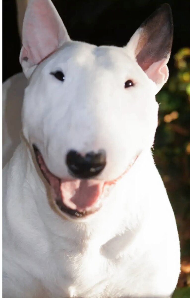 Скриншот автора