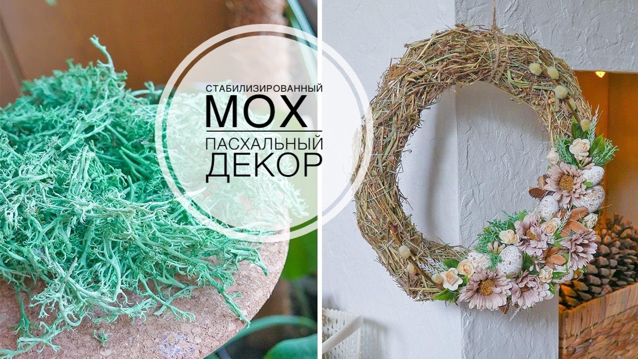 Пасхальный декор / Как стабилизировать мох дома / DIY TSVORIC