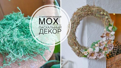 Пасхальный декор / Как стабилизировать мох дома  / DIY TSVORIC