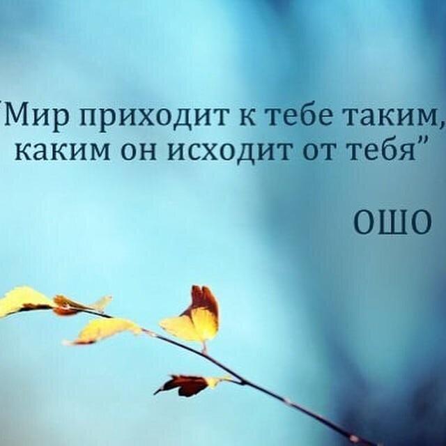 Поцелуева Тамара. ПСИХОЛОГ, ПСИХОАНАЛИТИК. +79141559831