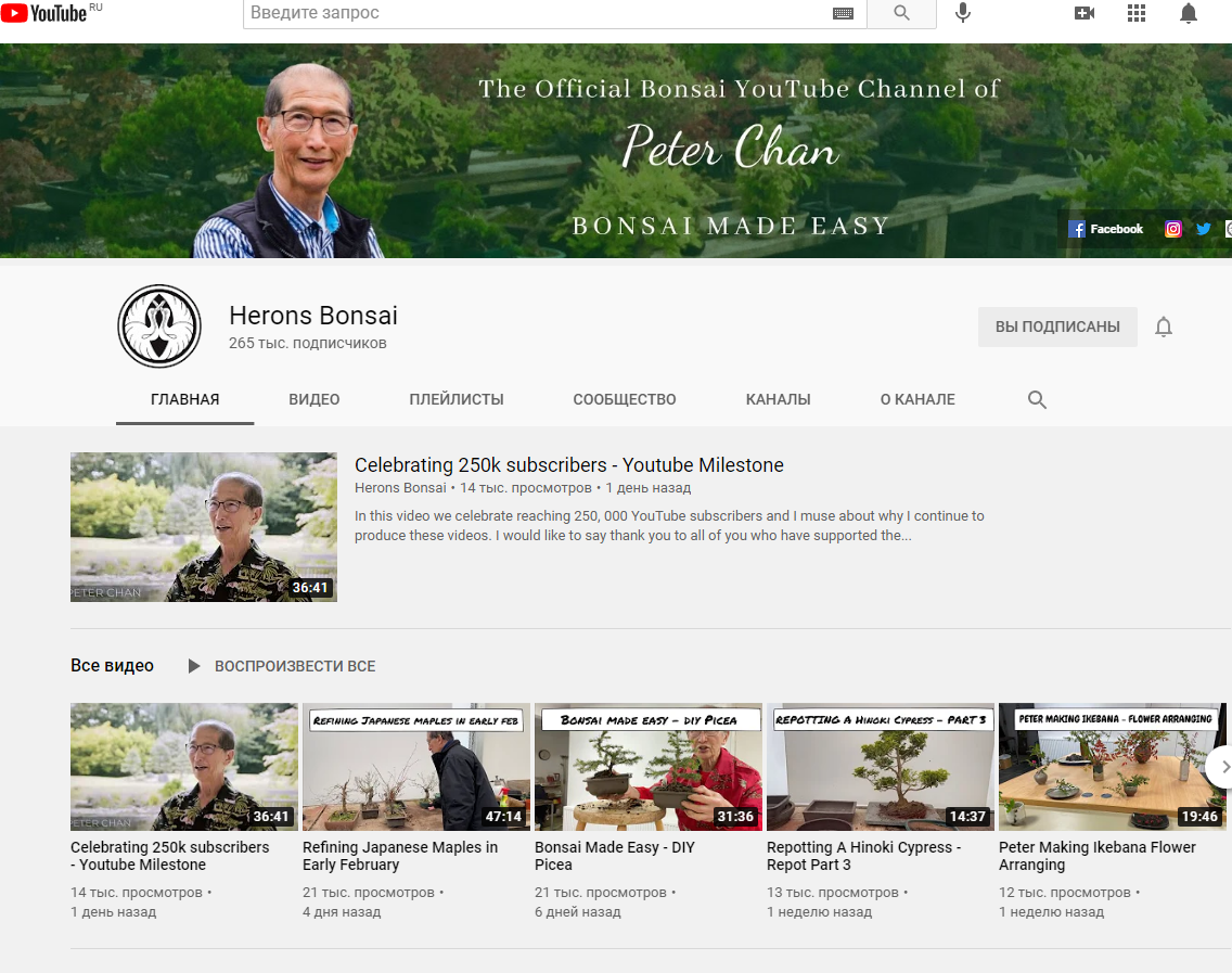 Скрин сайта https://www.youtube.com/channel/UCyZR5OfKC6sQ6fKHDzlruNw